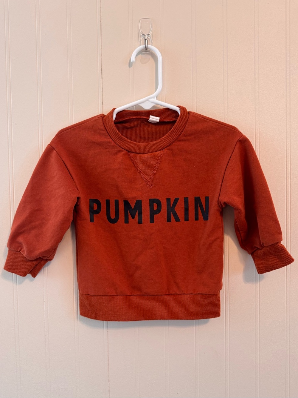 Kids Pumpkin Graphic Sweatshirt - Rust Orange